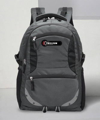 Trillium For Unisex,Office/Travel/Business Use,with Rain Cover And Reflective Strip(1006) 35 L Laptop Backpack(Grey)