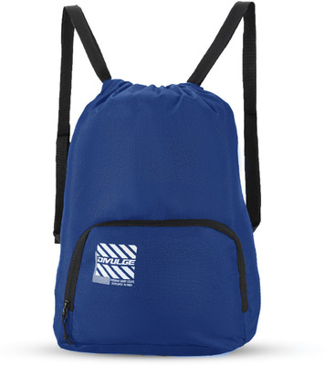 divulge FK-New - ROYAL BLUE METEOR Y2_10 19 L Backpack(Multicolor)