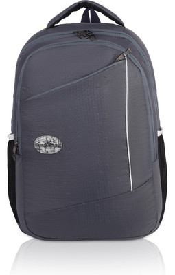 SeeNLee Smart Reflection Utility Bag 28 L Backpack(Grey)