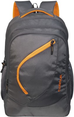 Cosmus Splendour Large Laptop Backpack 48cm 33 Litre 3 Compartments Grey Bagpack 33 L Laptop Backpack(Multicolor)