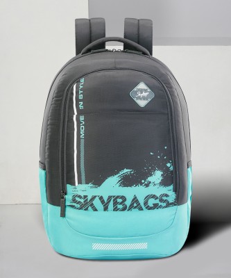 SKYBAGS BFF 28 L Backpack(Grey)