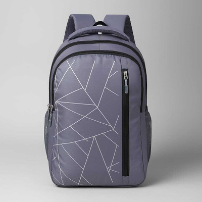 ANADVERTISER Spider Design & Large Spacious for School & College with Organizer Pocket 25 L Laptop Backpack(Grey)