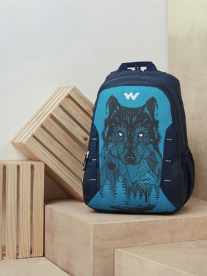 Wildcraft Daredevil 43 L Laptop Backpack(Blue, Black)