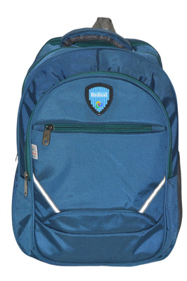 Shiman S-6 Green 30 L Backpack(Blue)