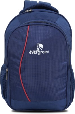 Evergreen Laptop bag- water resistant 15 L Laptop Backpack(Blue)