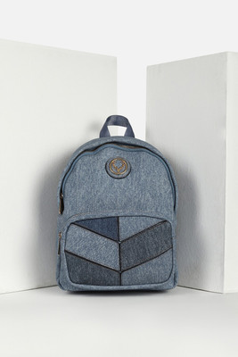 Allen Solly AHBGFRGBS01576 Backpack(Blue, 5 L)