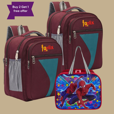 Stelo Combo 1st/2nd/3rd/4th & 5th Class School Bag + Lunch Bag Combo for Waterproof School Bag(Purple, 35 L)