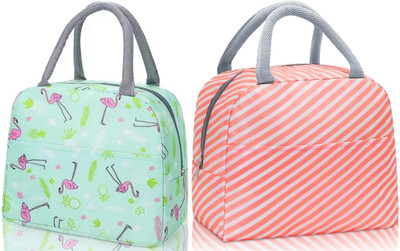 Kardiff Lunch Bag for Women Picnic Travel Portable Food Storage Breakfast Student Messenger Bag(Pink, Light Green, 15 L)