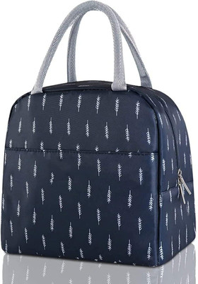 DRUPE Insulated 2 Pcs. Tiffin Carry Food Snacks For Office School Picnic College Tote Waterproof Lunch Bag(Blue, 3 L)