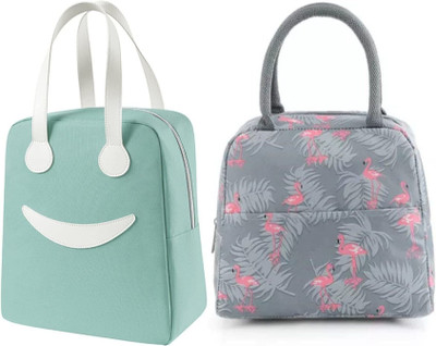 Kardiff Insulated Travel Lunch / Tiffin / Storage Bag for Office, College & School Waterproof Lunch Bag(Grey, Green, 2 L)