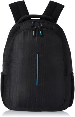 HP Entry level 24 L Backpack(Black, Blue)