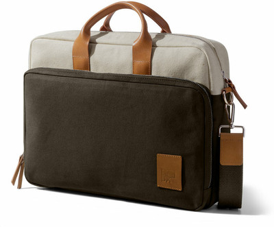 DailyObjects Ivory - Clove Commute Messenger Large Laptop Bag(Multicolor)