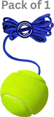 SJ Sports Noxa Hanging Tennis Cricket Ball Combo for Training Cricket Tennis Ball(Standard, Pack of 1)