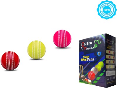 BIG BRO FITNESS PRO EDITION Wind Cricket Ball Set - Made in India Cricket Synthetic Ball(Pack of 3, Multicolor)