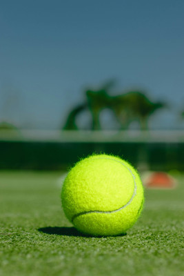 Cosca Royal_Industries_Power_Serve_Green_2 Cricket Tennis Ball(Standard, Pack of 1, Green)