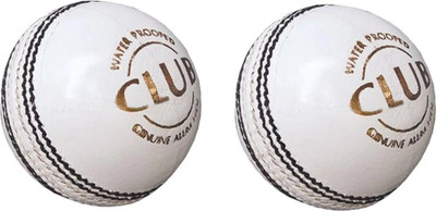 Shreejee White Cricket Leather ball 2 pannel (Pack of 2 ) Cricket Leather Ball(Standard, Pack of 2)