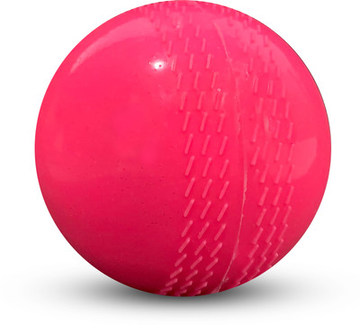 LYGER Wind Balls - Indoor & Outdoor Soft Cricket Ball for Practice, Kids- 1pc Cricket Rubber Ball(Standard, Pack of 1, Pink)