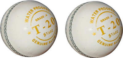 HTM Grade A T-20 Cricket Leather Ball(Standard, Pack of 2, White)