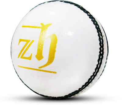 ZHOOSH Tournament White Cricket Leather Ball Cricket Leather Ball(Standard, Pack of 1, White)