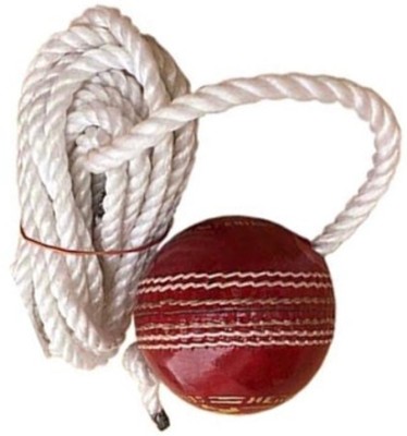 Owlix Leather Cricket Hanging Ball / Red Color For Shot Practice , MK32 Cricket Training Ball(Pack of 1)