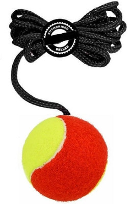 VSC Cricket Tennis Hanging Practice ball Heavy for Indoor/Outdoor Knocking Cricket Cricket Training Ball(Kids, Pack of 1)