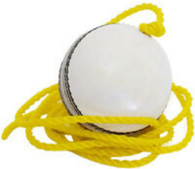 MKSPORTS Club Hanging Ball Cricket Leather Ball(Standard, Pack of 1)