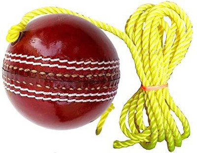 A R ENTERPRISES Leather Hanging Cricket Ball with Rope for Knocking/Practice/Training/Exercise Cricket Leather Ball(Standard, Pack of 1)