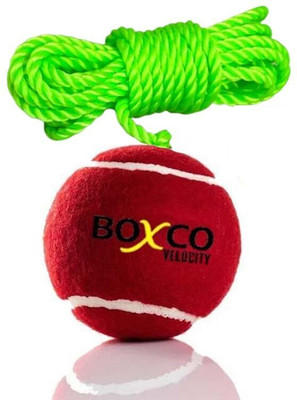 BOXCO Velocity Heavy Weight Hanging Tennis Cricket Ball for Match Practice & Training Cricket Training Ball(Standard, Pack of 1, Maroon)