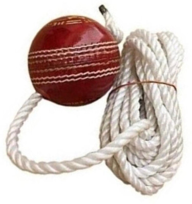 IKLONE NXC- Red Leather Cricket Hanging Ball For Knock Practice ,m6 Cricket Training Ball(Pack of 1)