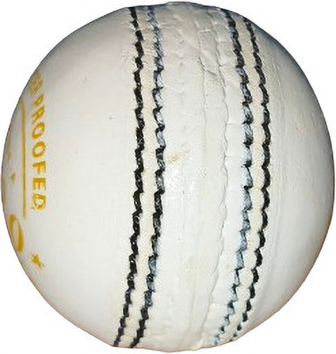 HTM T-20 White Cricket Leather Ball(Standard, Pack of 1, White)