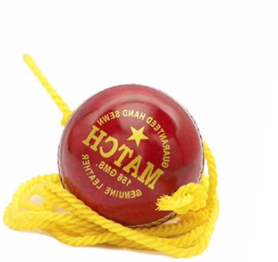 nizex Tough Leather Hanging Ball / Red , For Shot Practice , 1 Ball Pack ,ek65 Cricket Training Ball(Standard, Pack of 1)