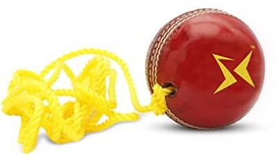 TIAGO Hanging Leather Practice Cricket Ball with Rope (1) - Maroon Red , Standard Size Cricket Training Ball(Pack of 1)