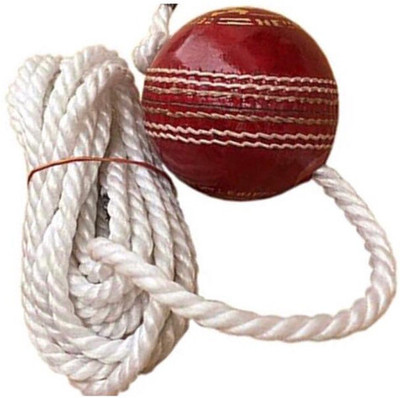 Weber Leather Cricket Hanging Ball ,Red , For Cricket Shot Practice , 1 ball TG138 Cricket Training Ball(Standard, Pack of 1)