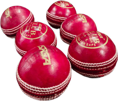 ASASA CLUB RED LEATHER BALL PACK OF 2 Cricket Leather Ball(Standard, Pack of 2, Red)