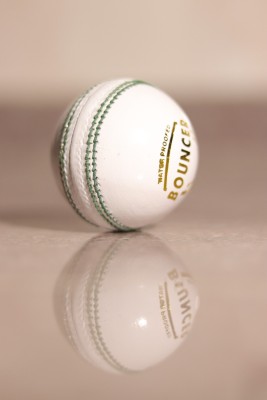 LSISPORTS White Bouncer 2 Piece Cricket Leather Ball Cricket Leather Ball(Pack of 1, White)