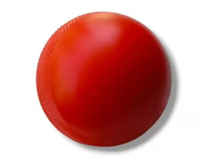S R Enterprises FYTX RED PVC Cricket Balls – Pack of 12 – 80gm – Training/Practice Use Cricket Training Ball(Standard, Pack of 12)