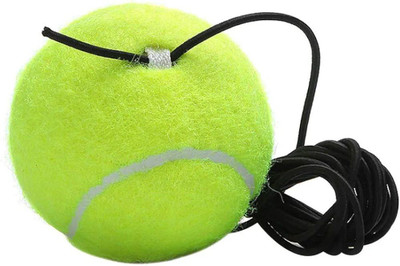 Prifremi hanging ball Cricket Training Ball(Standard, Pack of 1, Green)