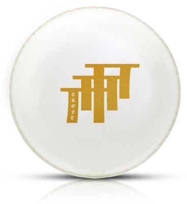 TrofT i-30 Cricket Synthetic Ball(Standard, Pack of 2)
