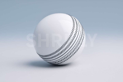 BOLDUP Cricket Rubber Ball Durable Soft Practice Ball for Training Matches White 1pc Cricket Rubber Ball(Standard, Pack of 1, White)