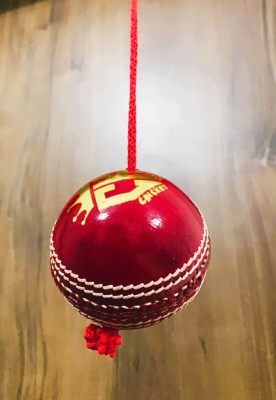 Cricketkingdom Cricket Leather Hanging Ball , Cricket Practice Ball , Cricket Leather Ball Cricket Leather Ball(Pack of 1, Red)