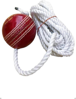 nizex Leather Cricket Hanging Ball For Knock Practice /Red Color -AT77 Cricket Training Ball(Standard, Pack of 1, Red)