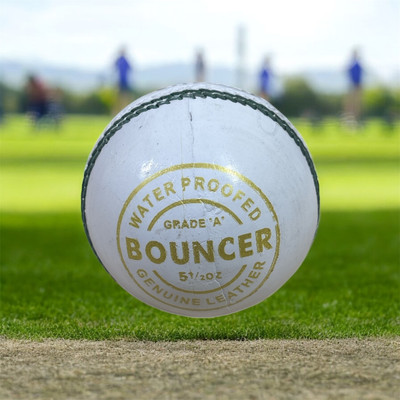 LSI 4 panel white bouncer cricket leather ball Cricket Leather Ball(Standard, Pack of 1, White)