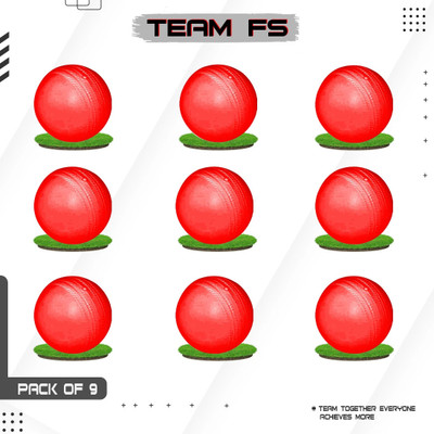 STYRKR Light Weight Tennis Ball-132 Cricket Tennis Ball(Kids, Pack of 12, Red)