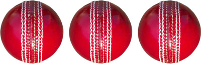 AARAV Professional 20-25 Overs Red Cricket Leather Ball(Standard, Pack of 1)