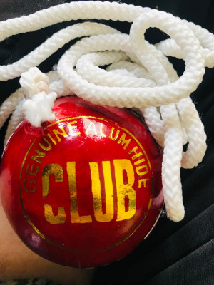 nizex Tough Leather Hanging Ball /Red , For Shot Practice , 1 Ball , Jej184 Cricket Training Ball(Standard, Pack of 1)