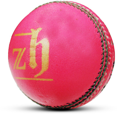 ZHOOSH Tournament Pink Cricket Leather Ball Cricket Leather Ball(Standard, Pack of 1, Pink)