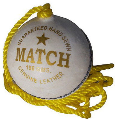 Dinetic Match White Leather Cricket Hanging, Knocking & Practice Ball ( Pack Of 1 ) Cricket Leather Ball(Standard, Pack of 1, White)