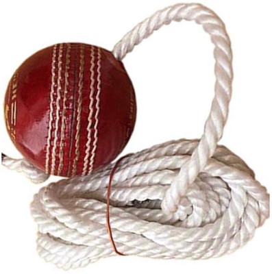 nizex XZXI- Leather Cricket Hanging Ball Red / For shot Practice , 1 Ball pack MJ32 Cricket Training Ball(Standard, Pack of 1)