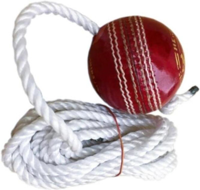 nizex Leather Cricket Hanging Ball For Knock Practice /Red Color -AT27 Cricket Training Ball(Standard, Pack of 1, Red, White)