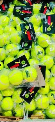 HOC Neon ball tennis Cricket Tennis Ball(Standard, Pack of 3, Green)